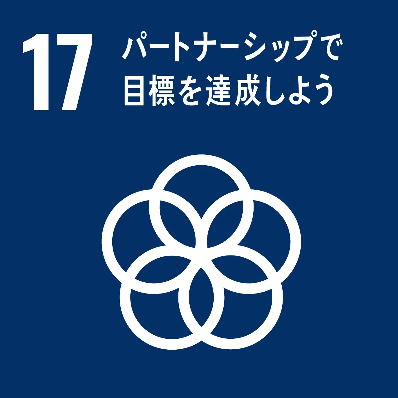 sdgs 17のゴール